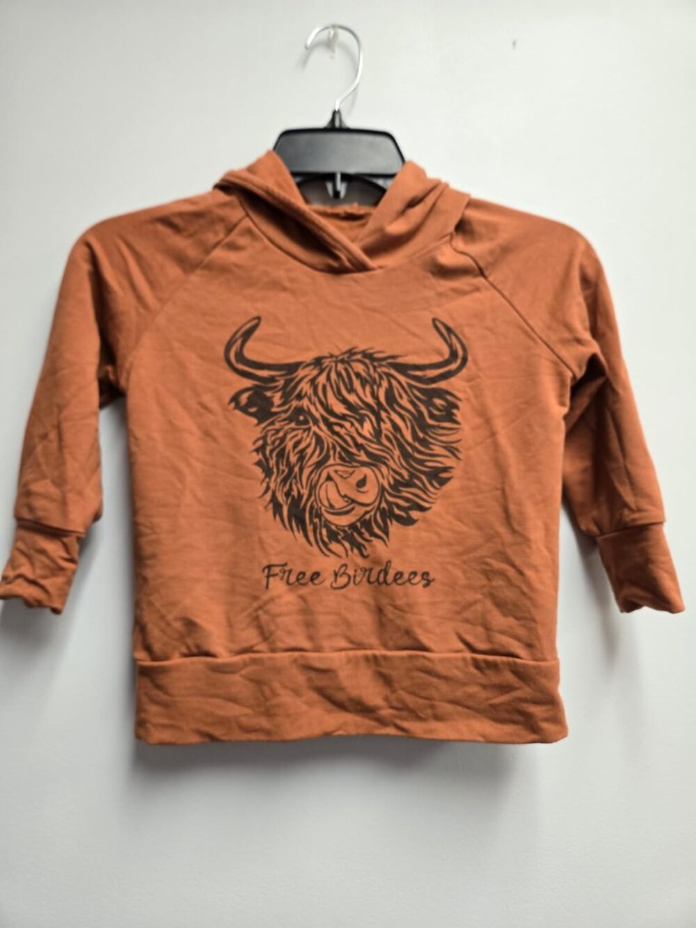 Free Birdees Highland Cow Hoodie Kids Bamboo Size 6 Pullover Sweatshirt Fall